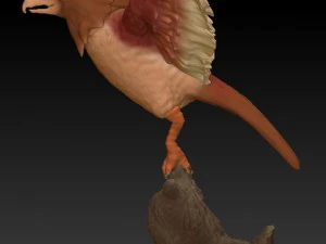 spearrow realistic 3d 3D Print Model