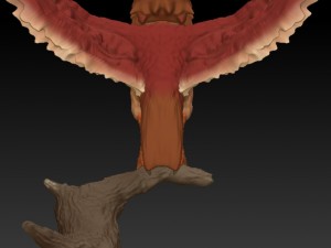 spearrow realistic 3d 3D Print Model
