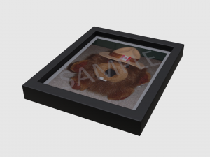 living room asset pack Modelo 3D