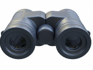 simple binoculars Modello 3D