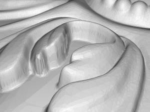 decorative pattern ready for 3d printing 3D 打印模型