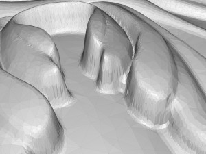 decorative pattern ready for 3d printing 3D 打印模型