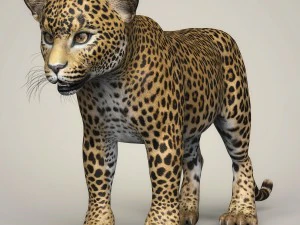 filhote de leopardo fotorrealista Modelo 3D