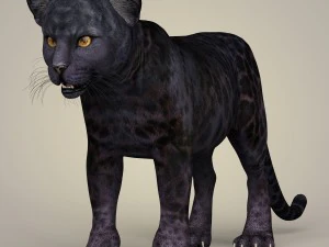 fotorealistisches Pantherjunges 3D Modell