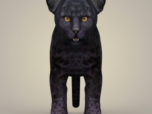 photorealistic panther cub 3D Model