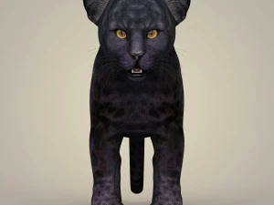 photorealistic panther cub 3D Model