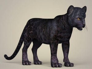 photorealistic panther cub 3D Model