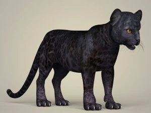 photorealistic panther cub 3D Model