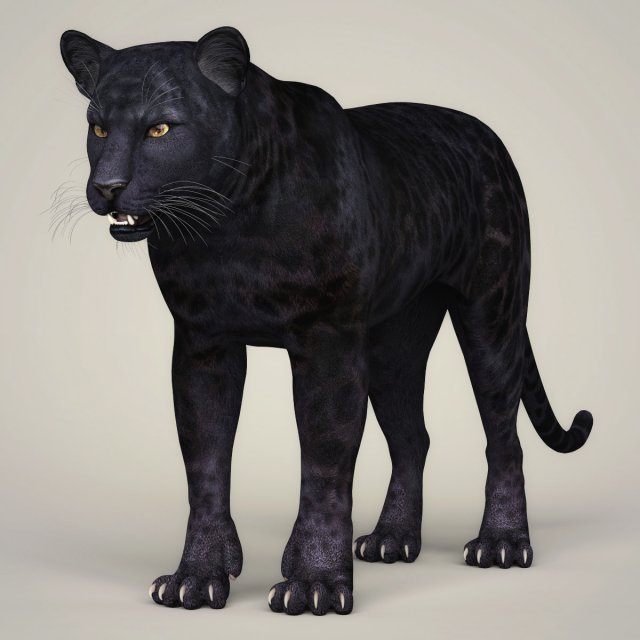 photorealistic wild panther Modello 3D .c4d .max .obj .3ds .fbx .stl .blend 