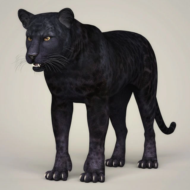 photorealistic wild panther 3D Model .c4d .max .obj .3ds .fbx .stl .blend 