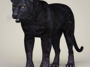 photorealistic wild panther 3D Model