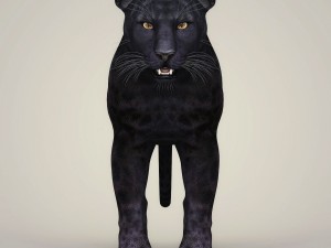 photorealistic wild panther Modello 3D