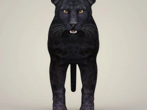 photorealistic wild panther 3D Model