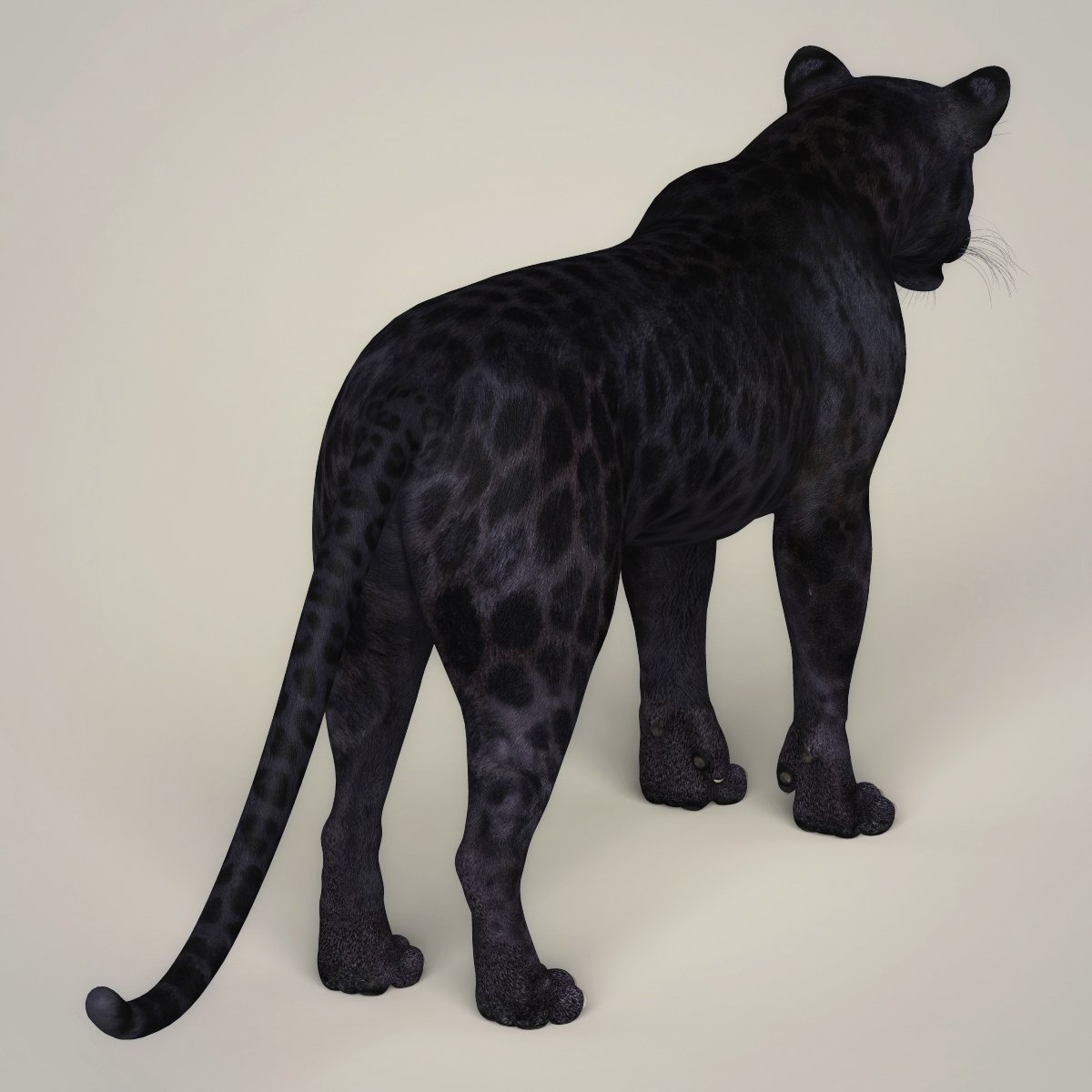 3d black pantera. 3д модель пантера. 3д модель пантера. 3д модель пантера. Пантера 3д.