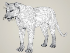 photorealistic wild panther Modello 3D