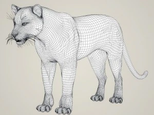 photorealistic wild panther 3D Model