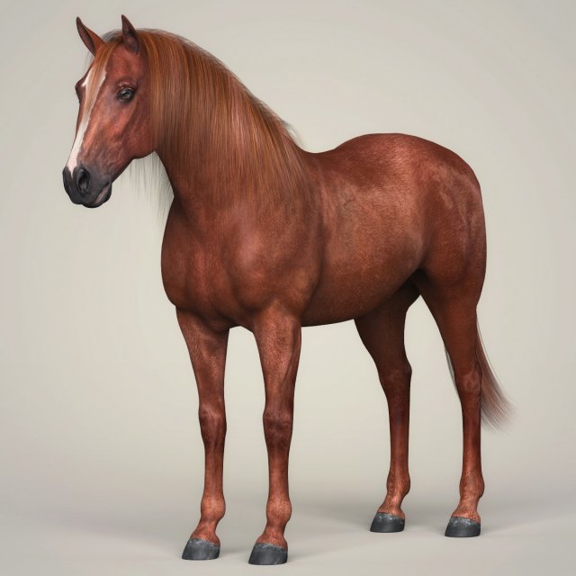 photorealistic brown horse 3D 모델 .c4d .max .obj .3ds .fbx .stl .blend 
