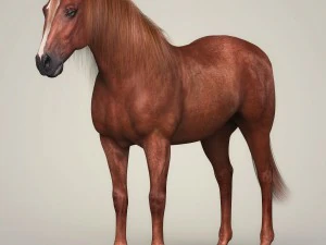 фотореалістичний коричневий кінь 3D Модель