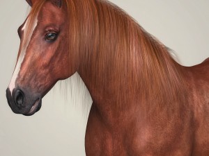 photorealistic brown horse 3D 모델