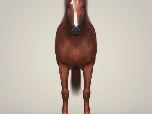 photorealistic brown horse 3D 모델