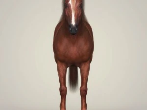 fotorealistyczny brązowy koń Model 3D