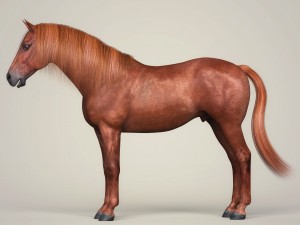 photorealistic brown horse 3D 모델