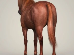 fotorealistyczny brązowy koń Model 3D