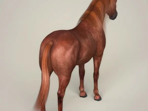 fotorealistyczny brązowy koń Model 3D