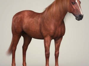 photorealistic brown horse 3D 모델
