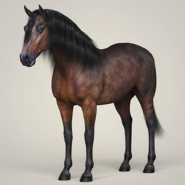 photorealistic horse 3D Model .c4d .max .obj .3ds .fbx .stl .blend 