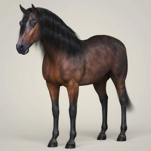 photorealistic horse 3D Model .c4d .max .obj .3ds .fbx .stl .blend 