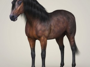 photorealistic horse 3D Model