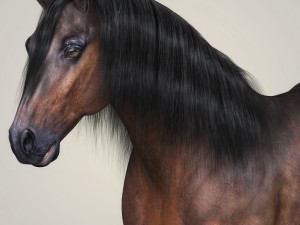 photorealistic horse 3D Model