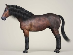 photorealistic horse 3D Model