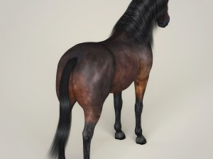photorealistic horse 3D Model