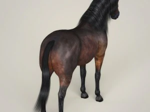 photorealistic horse 3D Model