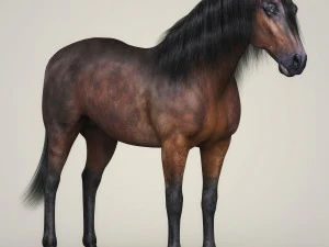photorealistic horse 3D Model