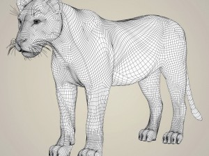 photorealistic wild lioness 3D Model