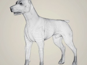 realistic doberman dog 3D Model