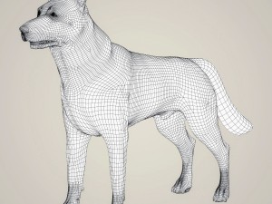 realistic german shepherd dog 3D Model