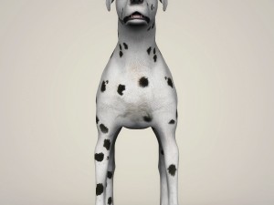 realistic dalmation dog Model 3D