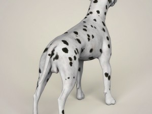 realistic dalmation dog Model 3D