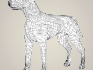 realistic dalmation dog Model 3D