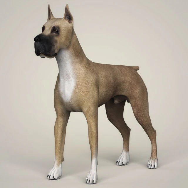 realistic great dane dog 3D Model .c4d .max .obj .3ds .fbx .stl .blend 