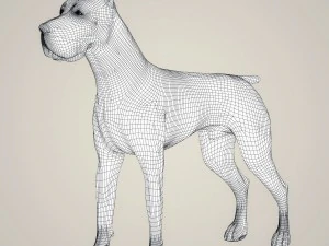 realistic great dane dog 3D Model