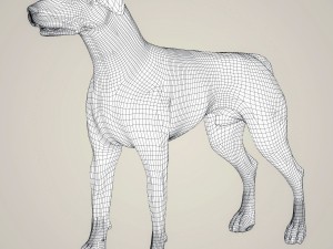 realistic german shorthaired dog 3D 모델