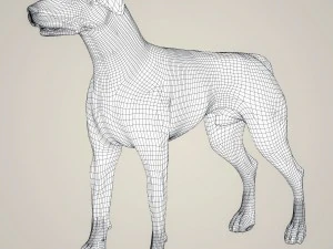 realistic german shorthaired dog 3D Model