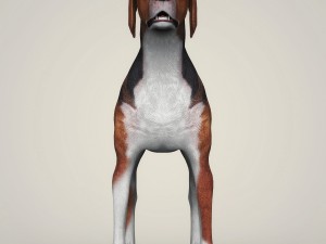 realistic hound black dog Modèle 3D