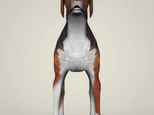 realistic hound black dog 3D Model