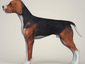 realistic hound black dog Modèle 3D